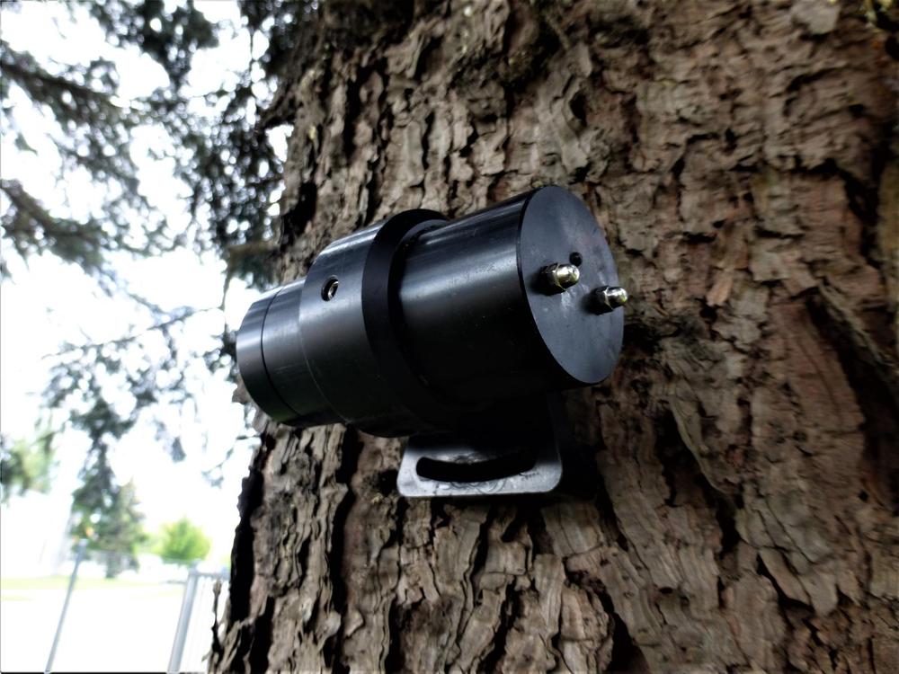 Tree motion sensor PiCUS TMS 3