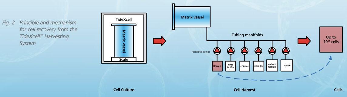 Cell harvesting system Esco TideXcell ® (TXLHS)